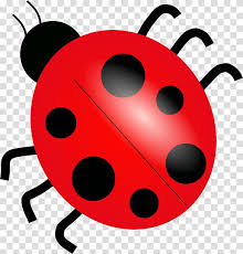 Free Content Ladybird Scalable Graphics Ladybug Backgrounds Transparent Background Png Clipart Hiclipart Search more hd transparent ladybug image on kindpng. free content ladybird scalable graphics