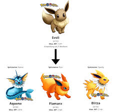 Wann kann man nachtara entwickeln? Evoli Entwicklung Mit Spitznamen Pokegohilfe De Pikachu Pokemon Hinh áº£nh