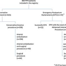 Flow Chart Of The Study Pph Postpartum Haemorrhage Eph