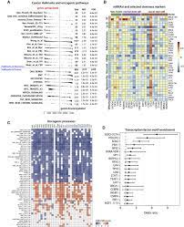 We would like to show you a description here but the site won't allow us. Machine Learning Identifies Stemness Features Associated With Oncogenic Dedifferentiation Sciencedirect