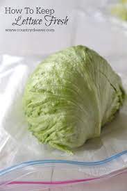 To maintain the proper temperature and moisture level, store your lettuce in the crisper drawer in your fridge. How To Tuesday How To Keep Lettuce Fresh Country Cleaver