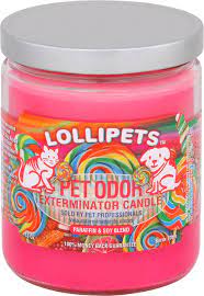 4.4 out of 5 stars. Pet Odor Exterminator Lollipets Deodorizing Candle 13 Oz Jar Chewy Com