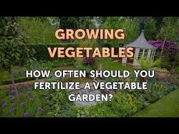 We did not find results for: How Often Should You Fertilize A Vegetable Garden Youtube