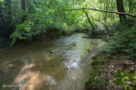Chicopee Woods Trail System Hikethesouth