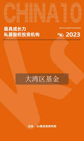 大湾区共同家园投资有限公司