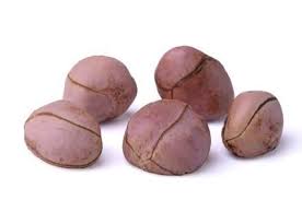 Noix De Kola Noix Cola Naturotherapie