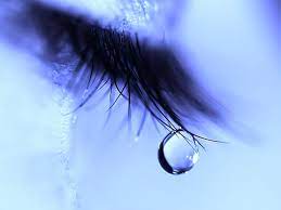 Whatsapp images quotes 2019 latest best cute whatsapp profile pic 2019. Heart Touching Sad Dp For Girls Whatsapp Dp Love Failure 1280x960 Wallpaper Teahub Io