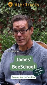 🐝✨ Meet the stingless bees