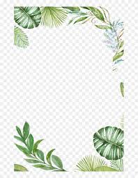 How To Paint Leaf Borders With Emma Yahoo Image Search Results Painted Leaves Tropical Leaves Flower Background Wallpaper