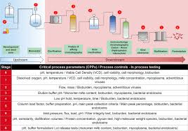 Jun 02, 2021 · uae to announce new government structure today. Integrative Overview Of Antibodies Against Sars Cov 2 And Their Possible Applications In Covid 19 Prophylaxis And Treatment Microbial Cell Factories Full Text