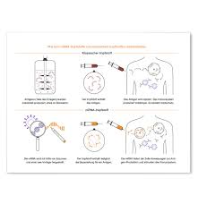 Dabei wollen mediziner ihren patienten ein kleines stückchen erbinformation spritzen, die in den menschlichen zellen die produktion des. Wissenschaft Und Technik Infografiker Com