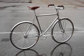 Horse Cycles Stainless Townie Singlespeed Bicycle