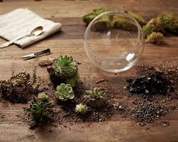 I love cacti and succulents and as my ever growing collection took up so much space i decided to do another cactus & succulent terrarium. Gardening 101 How To Plant An Open Terrarium Gardenista