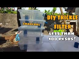 In a traditional trickle filter, water is removed from an aquarium using an overflow. Building An Inexpensive Trickle Filter