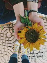 pin by yumna on أشياء هيباتيا kids dress live lokai bracelet lokai bracelet