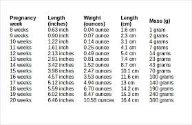 12 True Average Baby Size And Weight Chart