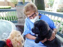 In the spirit of the day, i am obligated to share these adorable images of pups from around the world. Https Www Theintelligencer Net Life Features 2020 09 The House Of Friendship Celebrates National Puppy Day