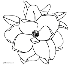 Louisiana State Flower Clipart Panda Free Clipart Images Gallery For Gt Magnolia Flower Outline Flower Outline Flower Drawing Magnolia Flower