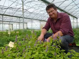 Siren, siret, ape/naf, rcs, tva intracommunautaire, dirigeants, données financières, statuts, actionnaires. Olxgw3c X Ds2m