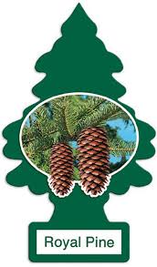 Balsam fir pine scent room spray country primitive home winter fragrance. Little Trees Car Air Fresheners Royal Pine Scent 24 Pack Buy Online In Bahamas At Bahamas Desertcart Com Productid 24801988