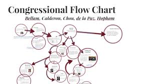 Congressional Flow Chart By Jessica De La Paz On Prezi