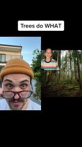 #duet with @hiiitower trees are the bees knees man #hugatree #doit