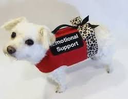 For people who suffer from mental health. How To Register Your Dog As An Emotional Support Animal Milwaukee Paws Pet Care