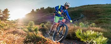 51 walker st, truro, ns b2n 4a8, канада. Conway Cairon S 227 Ht Herren 2021 Skixbike