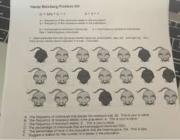 .pogil answers fancyjewellers com, answer key hardy weinberg worksheet course hero, d4 the hardy weinberg principle flashcards quizlet, hardy answers, the hardy weinberg equation biology homework help, download hardy weinberg equation answers pogil yestem pdf, moosesapbio. Hardy Weinberg Problem Set Mice Answer Key Hardy Weinberg Problem Set I Here Frequency Of All Dominant Phenotypes P2 2pq 60 60 100 0 6 Then Applying The Hardy Labels Baju Muslim
