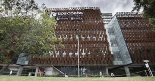 Últimas noticias sobre:universidad el bosque. El Bosque Siembra Su Futuro