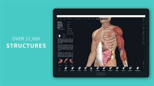 The best 3d medical atlas app. Get Complete Anatomy 2021 Microsoft Store