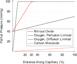 Image result for Diffusing Capacity