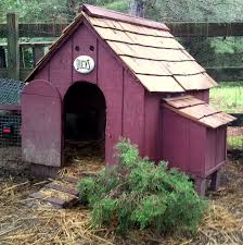 A tour of our duck house/coop and the attached run. Converting A Dog House For Ducks Easy Diy Project Fresh Eggs Daily