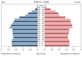 france age structure demographics