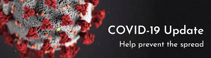 Interstate travel restrictions on visitors from nsw have thrown christmas travel plans into. Coronavirus Covid 19 Sydney Animal Hospitals