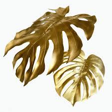 Download Premium Psd Of Shiny Golden Monstera Leaves On A White Background Monstera Leaf Monstera White Background