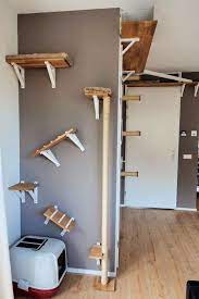14 Best Diy Cat Shelves To Build For Your Feline Friend Cat Room Diy Cat Wall Shelves Diy Cat Shelves