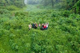 See tripadvisor's 15,27,902 traveller reviews and photos of singapore attractions. Hiking Clementi Forest A Secret Route Off The Green Corridor The Travel Intern