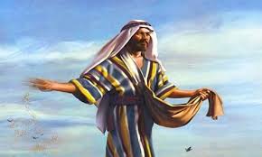 Resultado de imagem para parábola do semeador