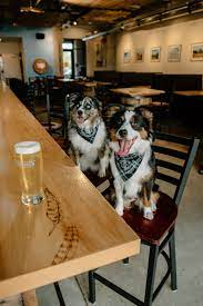 Dog Friendly Restaurants And Shops In Milwaukee Your Guide