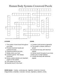 Human Body Crossword Puzzle