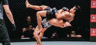 Here a 10 helpful and important tips to get you on your way. How To Get Into Mma Become An Mma Fighter Beginners Guide