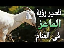 Maybe you would like to learn more about one of these? Ø¨Ù†Øª ÙˆÙ…Ø§Ø¹Ø² Mp4 3gp Flv Mp3 Video Indir