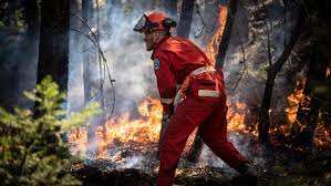 We did not find results for: More B C Firefighters Active Outside Than Inside Province Cbc News