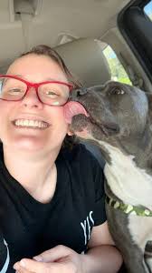 Need a foster for...please contact delco dwags if you can step forward and  help.