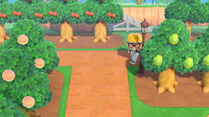 Animal Crossing New Horizons Tips When Redesigning Your Island In 2020 Animal Crossing Animal Crossing Game My Island