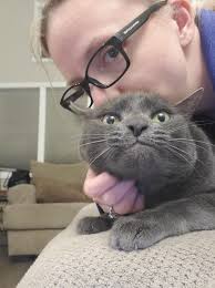 Angry Cat Expression and Humorous Comments