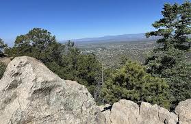 Image result for Atalaya