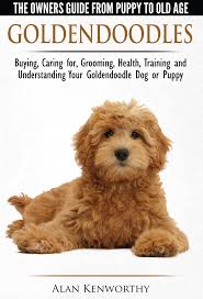 Most trusted source of mini goldendoodle puppies for sale. Read Goldendoodle The Owners Guide From Puppy To Old Age Choosing Caring For Grooming Health Training And Understanding Your Goldendoodle Dog Online By Alan Kenworthy Books