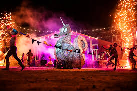 Image result for woodford folk festival